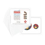 کارت دیدآموز (مفاهیم)