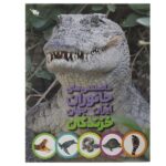 دانستنی های جانوران ایران و جهان (خزندگان)-(گلاسه-شمیز-رحلی-طلایی)