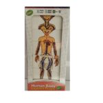 جورچین روی هم چیدن بدن انسان