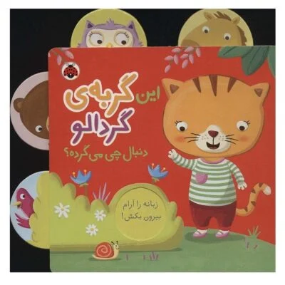 این گربه گردالو دنبال چی میگرده؟