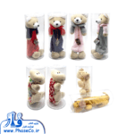 جامدادی پولیشی کد 1010